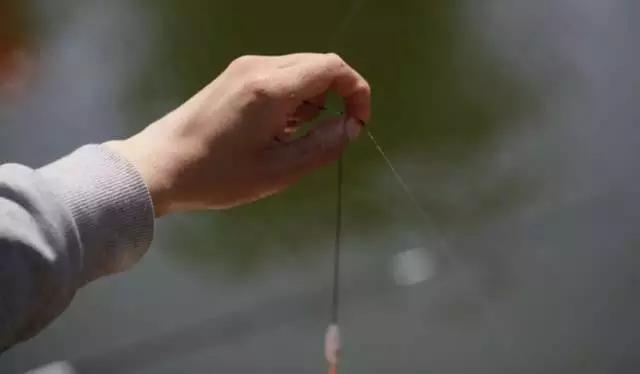 新手钓鱼入门基本功,新手钓鱼怎么学才会