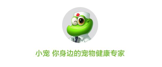 知宠是什么,知宠