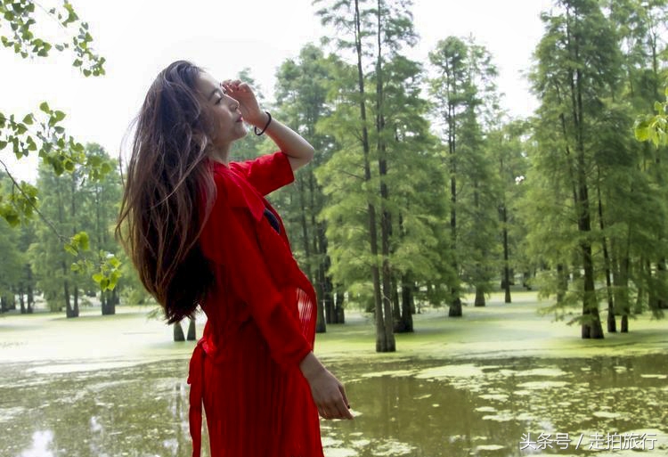滁州有哪些地方可以下班去逛逛,滁州十大必去景点推荐