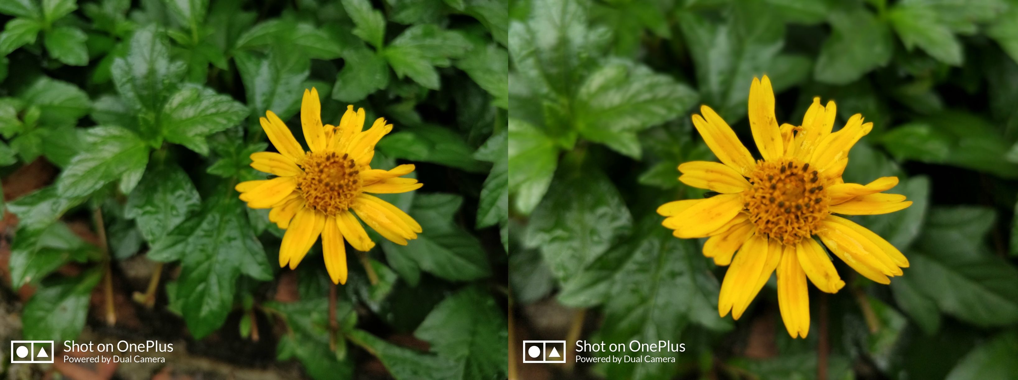 一加5手机评测国产机顶级旗舰,一加手机5评测科技美学