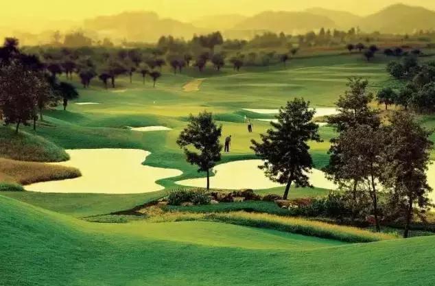 在广东，十二星座最销魂的避暑姿势有哪些？