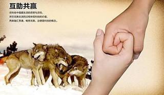 让员工赚钱的工资制度,员工管理机制和待遇