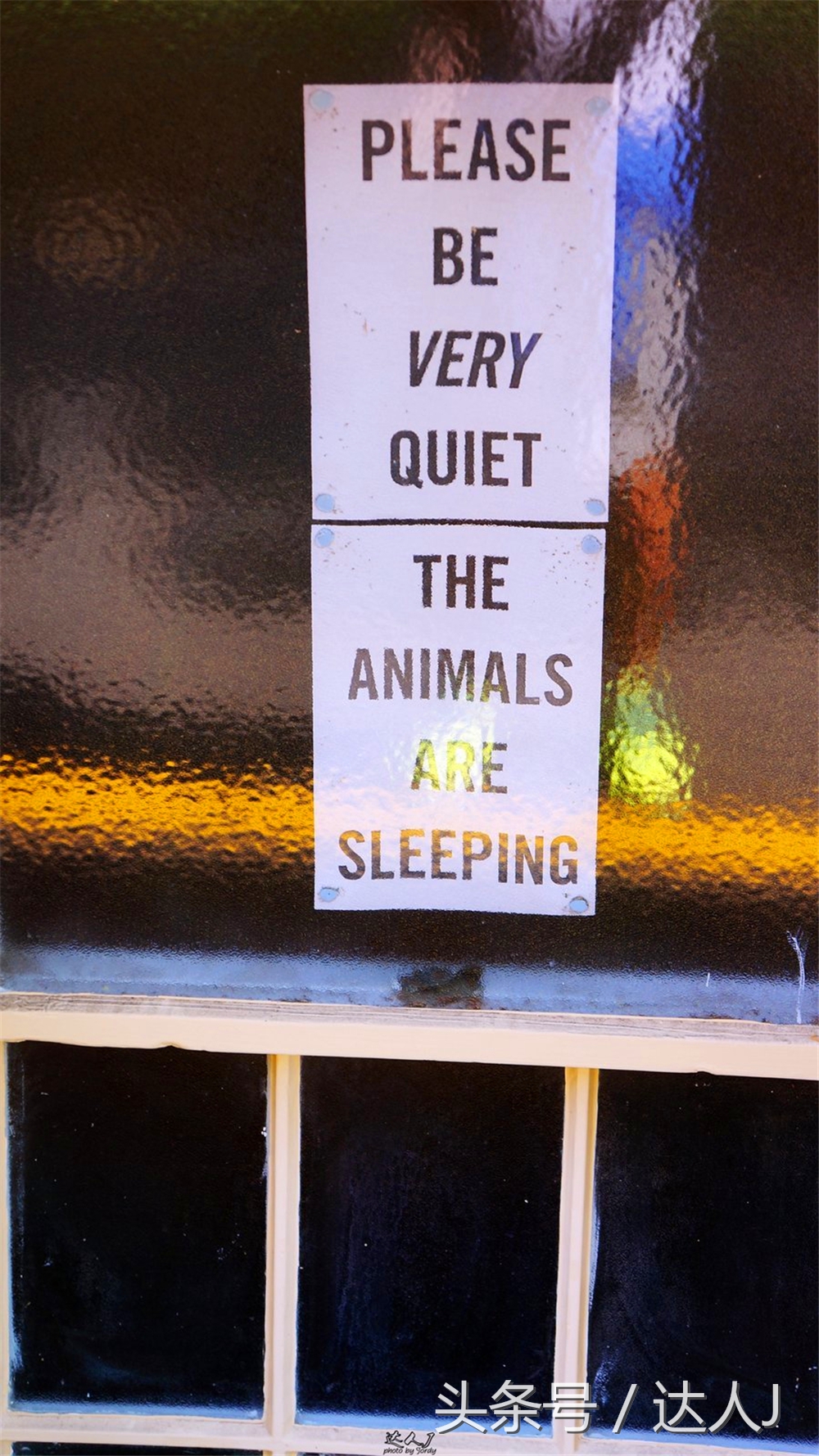 澳洲阿德莱德vs悉尼fc,阿德莱德对澳洲悉尼