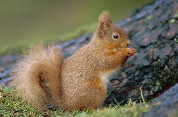 去洈水旅游,去洈水风景区一日游必带清单