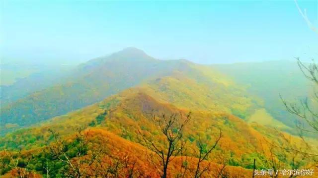 哈尔滨尚志要开挂了！如果三年后你还在尚志，将面对的竟是这些