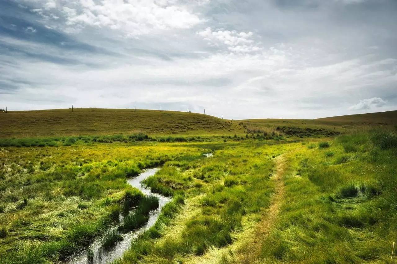 环青海湖大环线自驾游全攻略,青海湖环湖自驾哪里离青海湖最近
