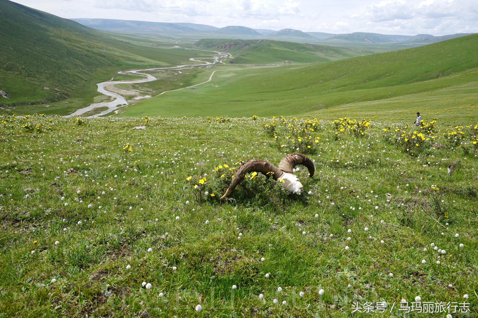 九寨沟亲子度假必选酒店,九寨沟藏羌风情酒店
