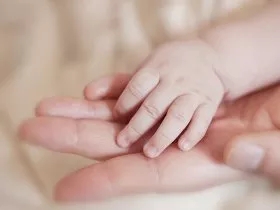 准妈孕期要补充哪些营养,孕中期注意事项和调理