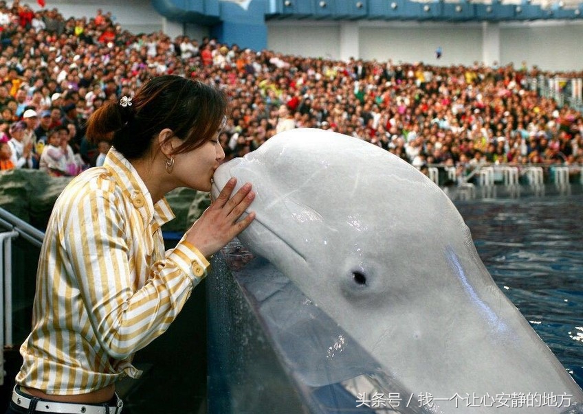 去大连旅游都有哪些值得去的地方,大连旅游值得去的地方