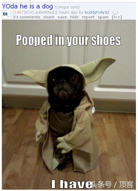 超好用的五款软件值得收藏,有什么好回收旧手机的软件