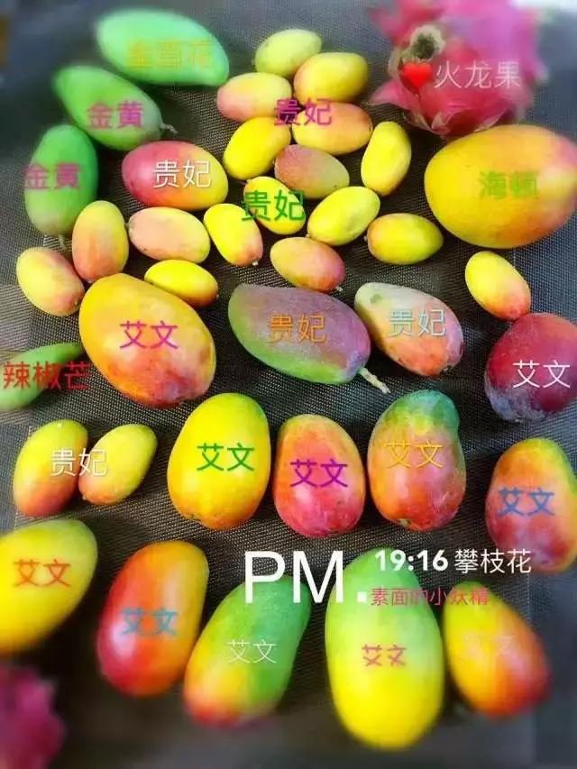 蔷薇水果店~“品控达人”的福音！