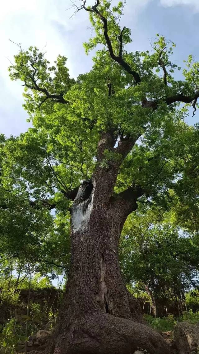 宜昌周边适合避暑的古镇,宜昌小众避暑景点