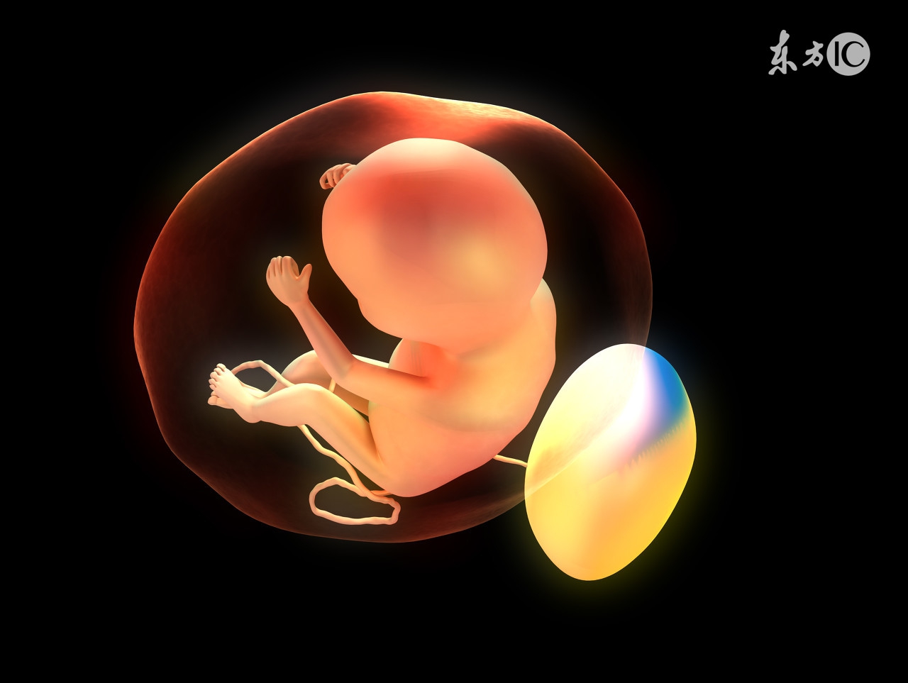 孕妇怀孕十月的食谱,孕妇营养食谱长胎不长肉