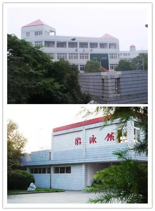 谢谢你高中征文,鲁迅中学初中