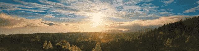 初级下犬式正确姿势分解及功效,下犬式初学者注意什么