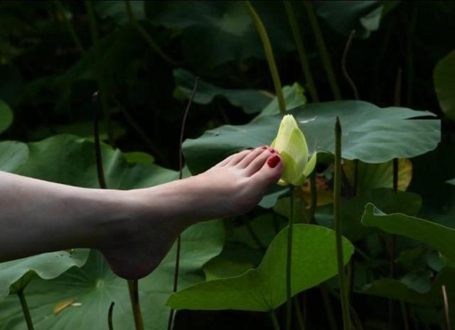 湿气的头号克星，每天喝水时候泡一点，湿毒很快消失不见，肚子也瘦了