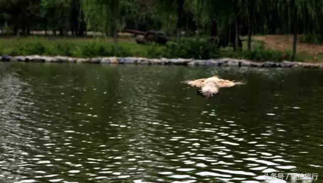 滁州有哪些地方可以下班去逛逛,滁州十大必去景点推荐