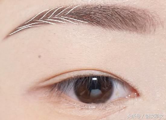 眉毛画粗一点显脸小,眉毛画细点是不是显得眼睛大