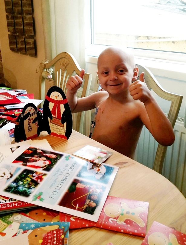 小布拉德利视频,小布拉德利最后的话