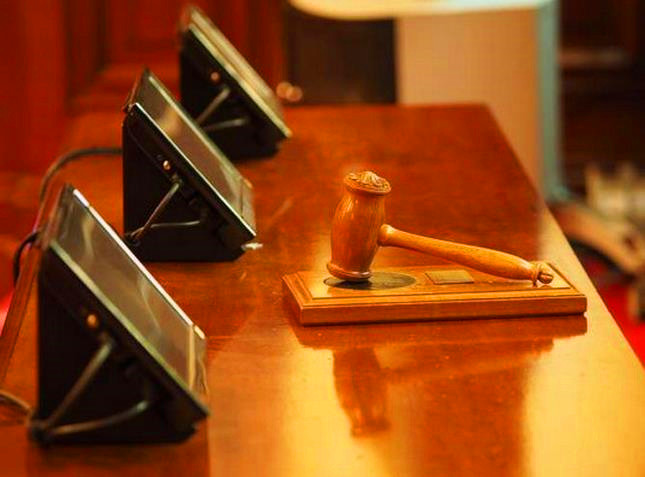 流浪母狗刚生下来小狗被抱走,流浪母狗与刚出生的小狗