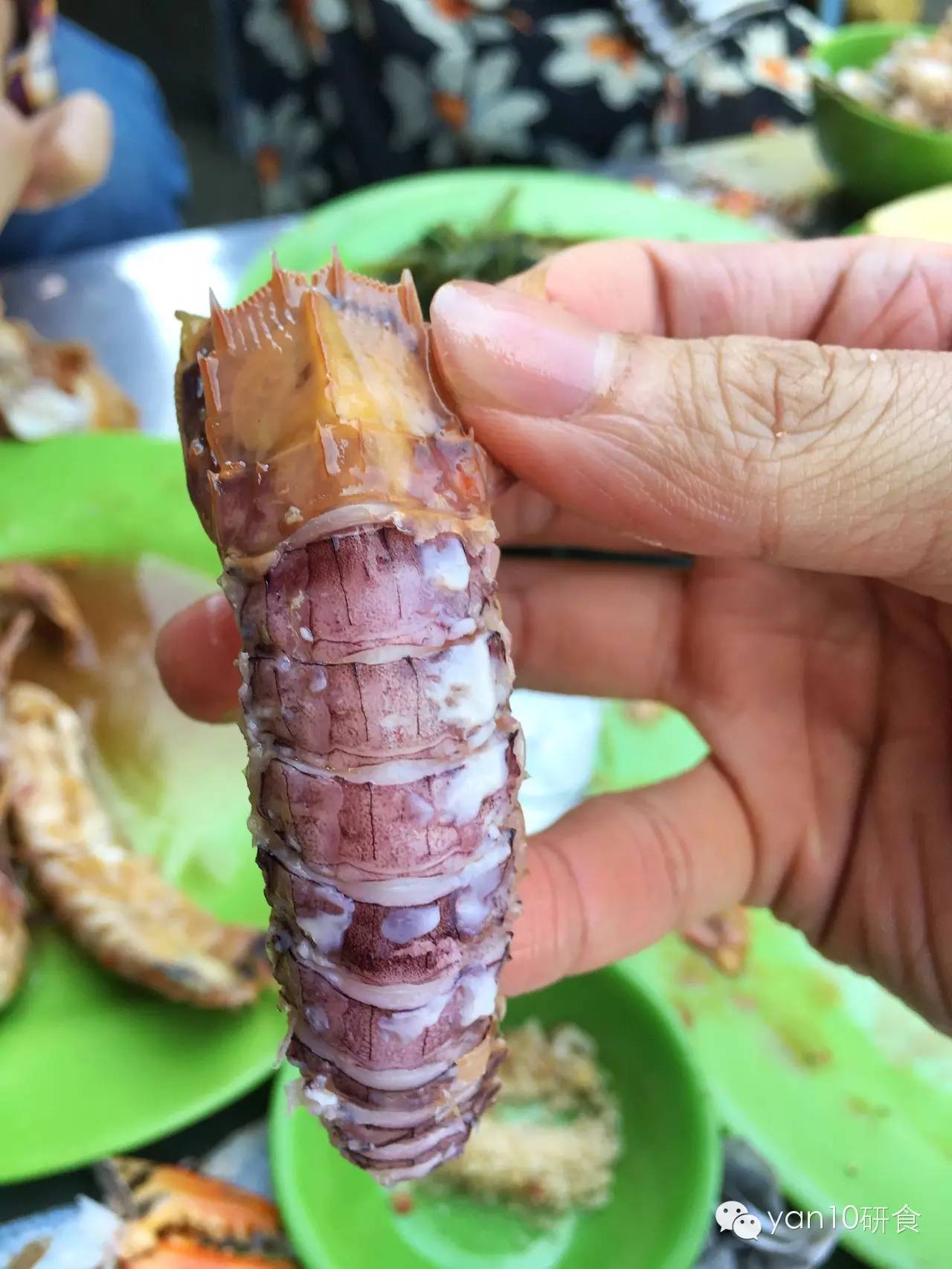 越南之旅芽庄,春节去越南芽庄旅游的感言