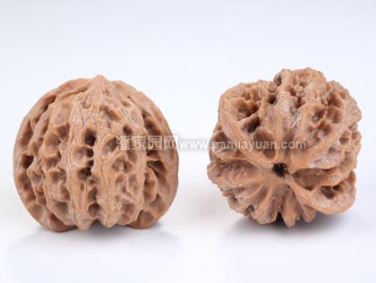 文玩核桃哪种品种盘出来最好看,文玩核桃哪个品种盘出牛筋红