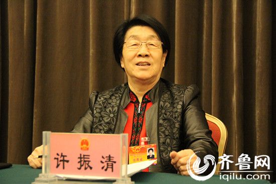 聊城许振青,聊城许振清个人资产