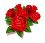 生活不止眼前的艰难还有诗与远方,生活不止梅雨季还有艳阳天