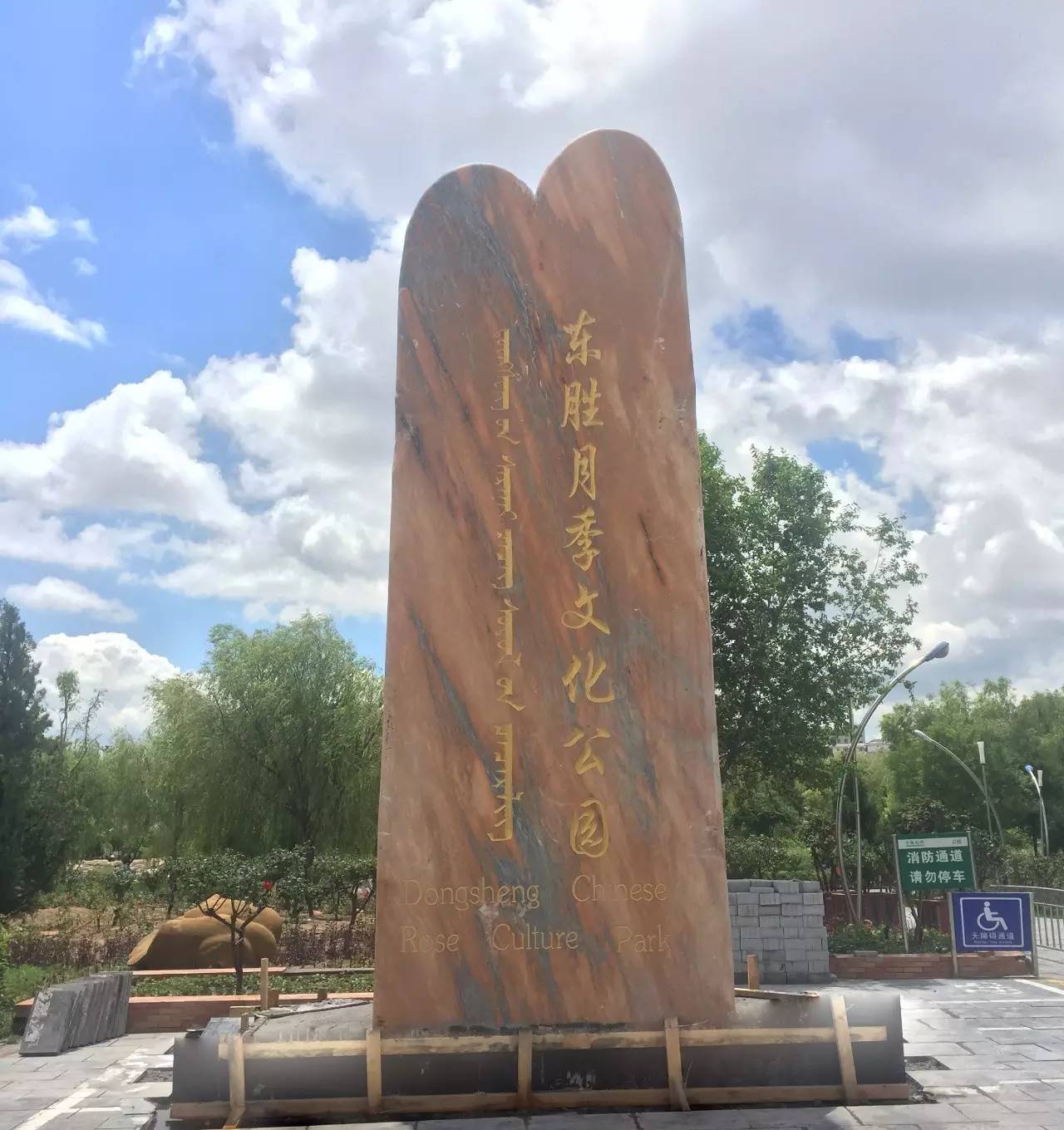 不仅是中国多个城市的市花~东胜的这个公园还以“它”的名字命名