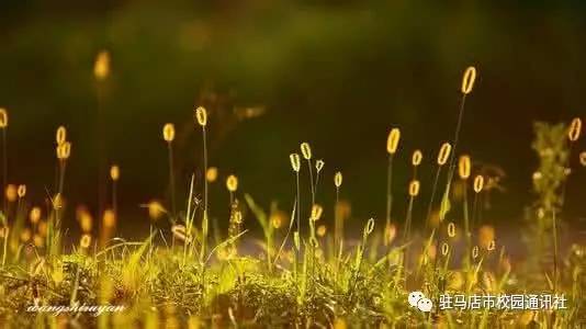 鍘熷垱瑙﹀姩,瑙﹀強鍘熷垱