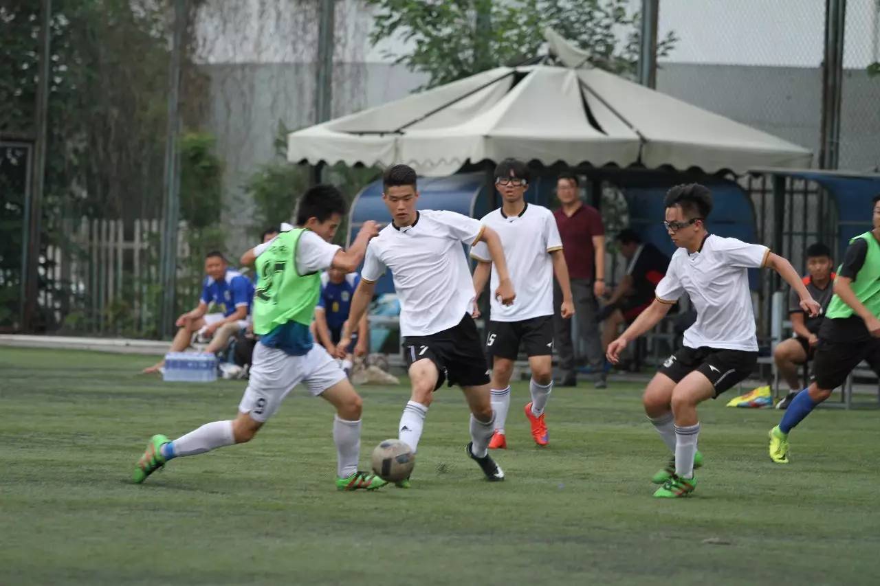 北大附中国际部,北大附中国际部排名