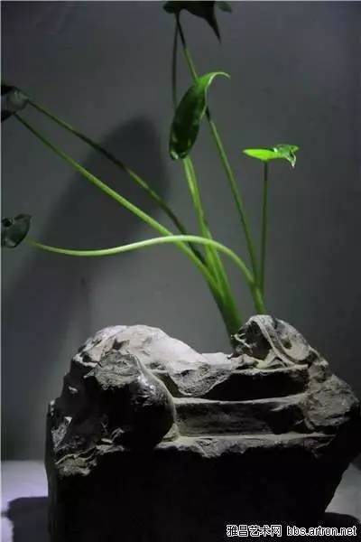 大莲花座折法,多层莲花座折法