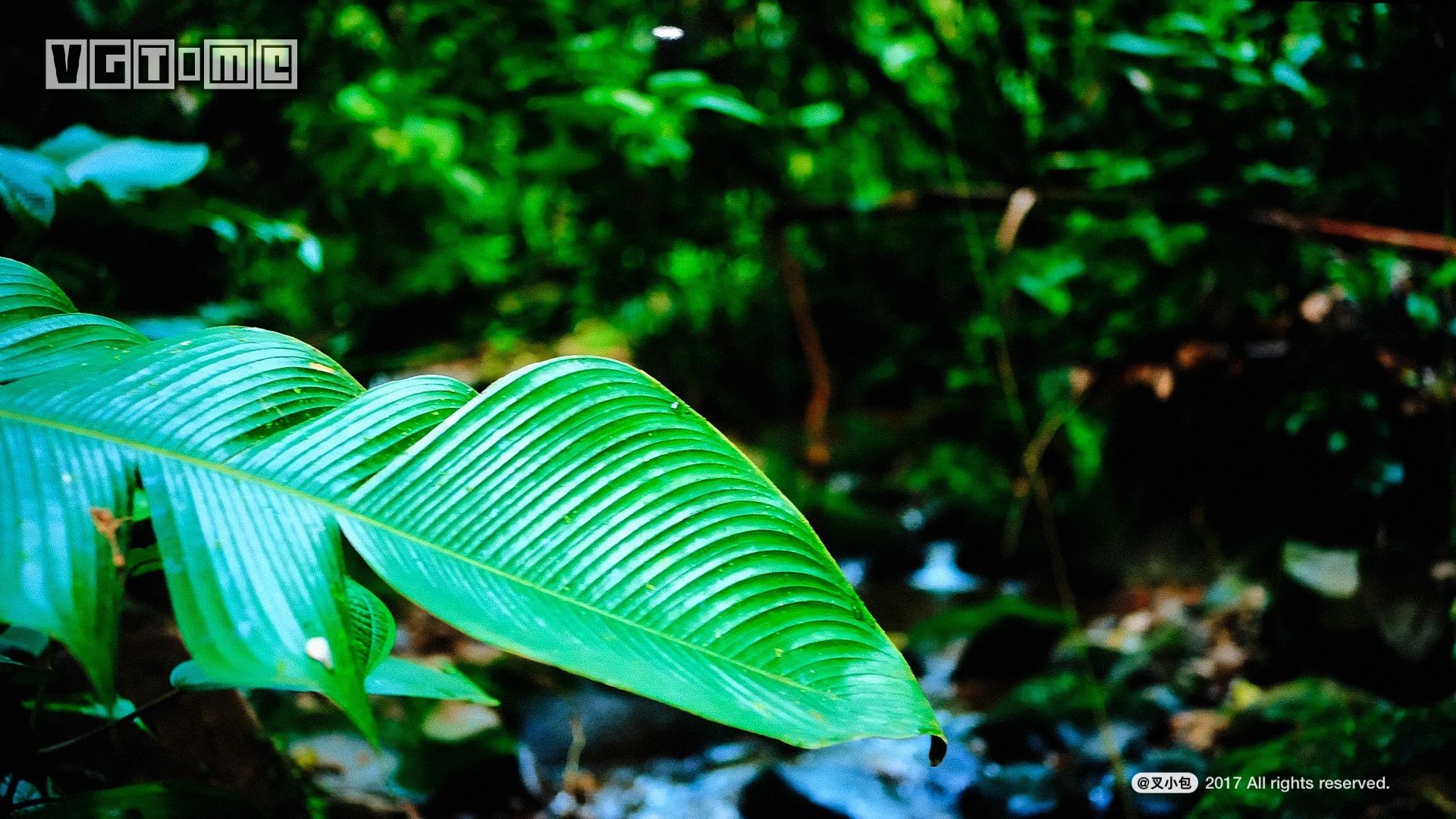 索尼新品4k超高清电视,索尼65x9000e电视机深度测评