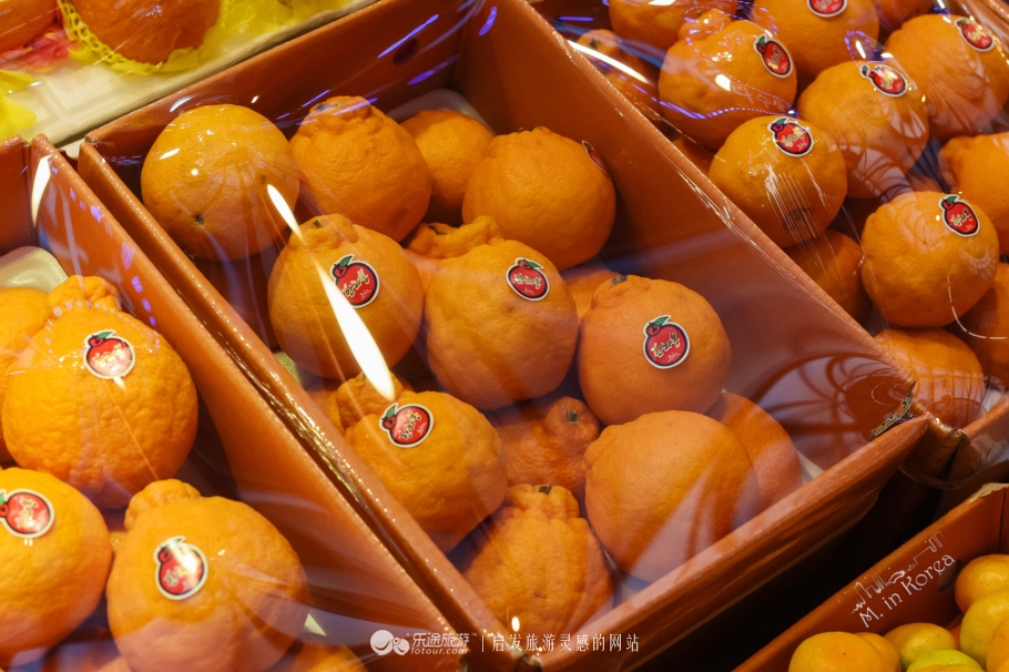 跟着RM探寻济州东门市场