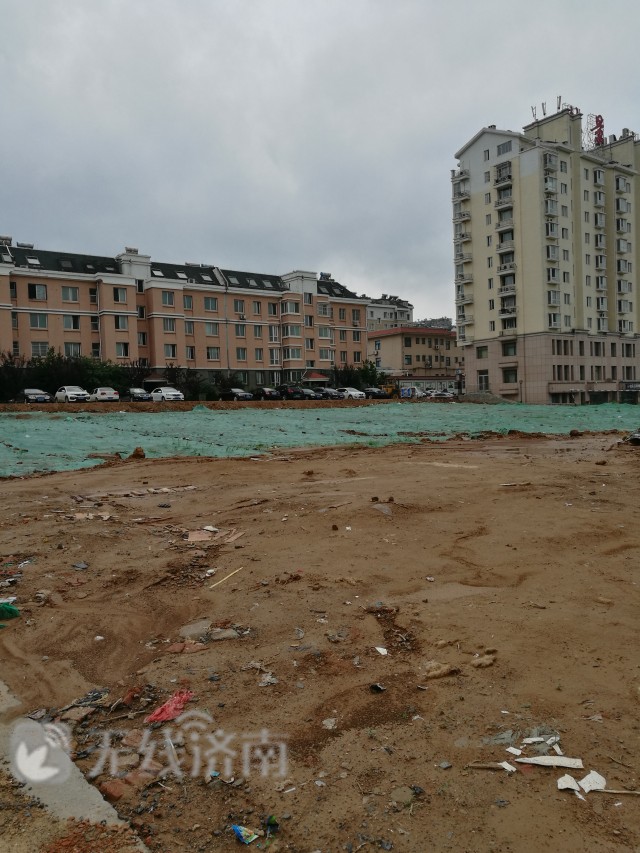 鍟勬湪楦熷湪琛屽姩琚姄,鍟勬湪楦熷湪琛屽姩璋冩煡鎶ュ憡