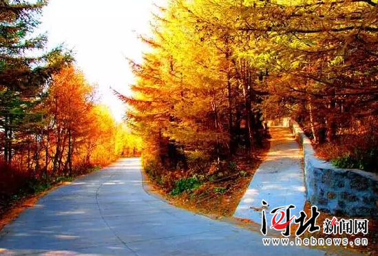 在燕赵大地续写绿色传奇