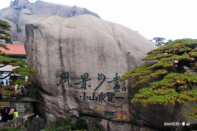 金毛萨克斯,金毛挑战全部视频