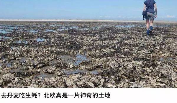 丹麦人说，记住这个单词，做全世界最幸福的人