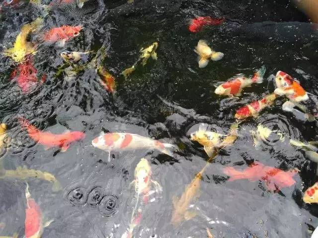 富源县万达广场,富源有万达广场吗