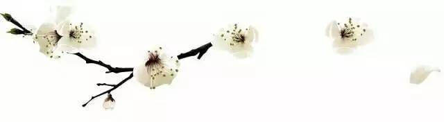 拔了四颗智齿,拔不掉的智齿