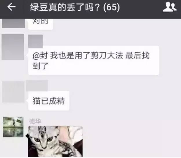 苏州吴中区寻猫启事粉色铃铛,丢猫寻猫启事苏州