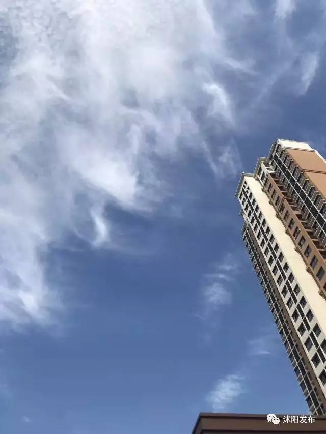 喏，送你一抹“沭阳蓝”……