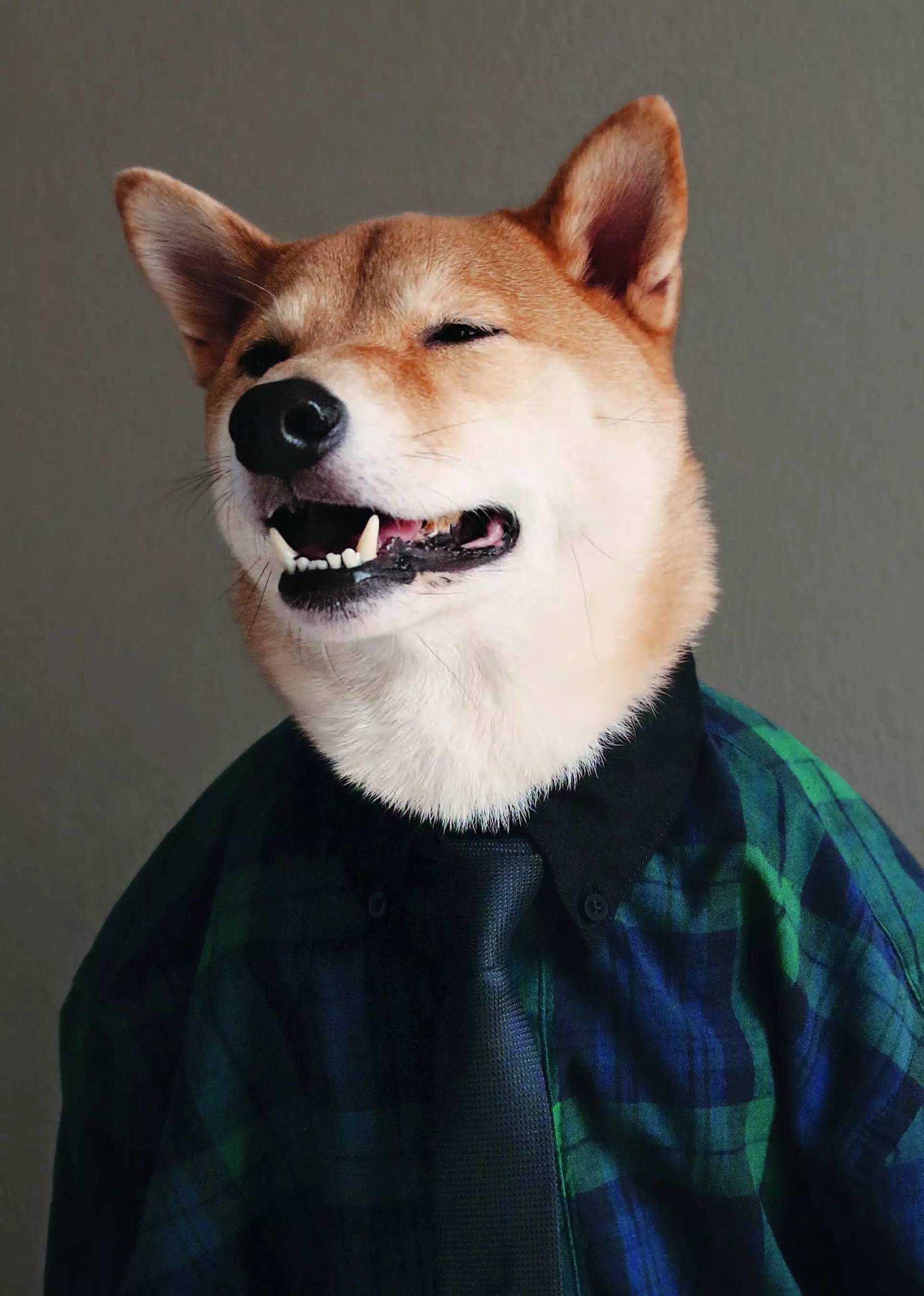 男春季穿搭技巧,春季男士穿搭禁欲奶狗风