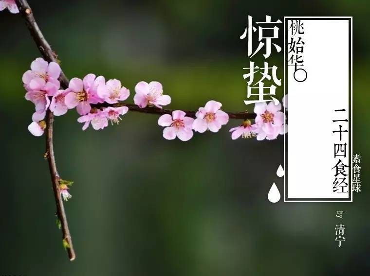 顺时而食节气美食推荐惊蛰篇,今日惊蛰食谱大全