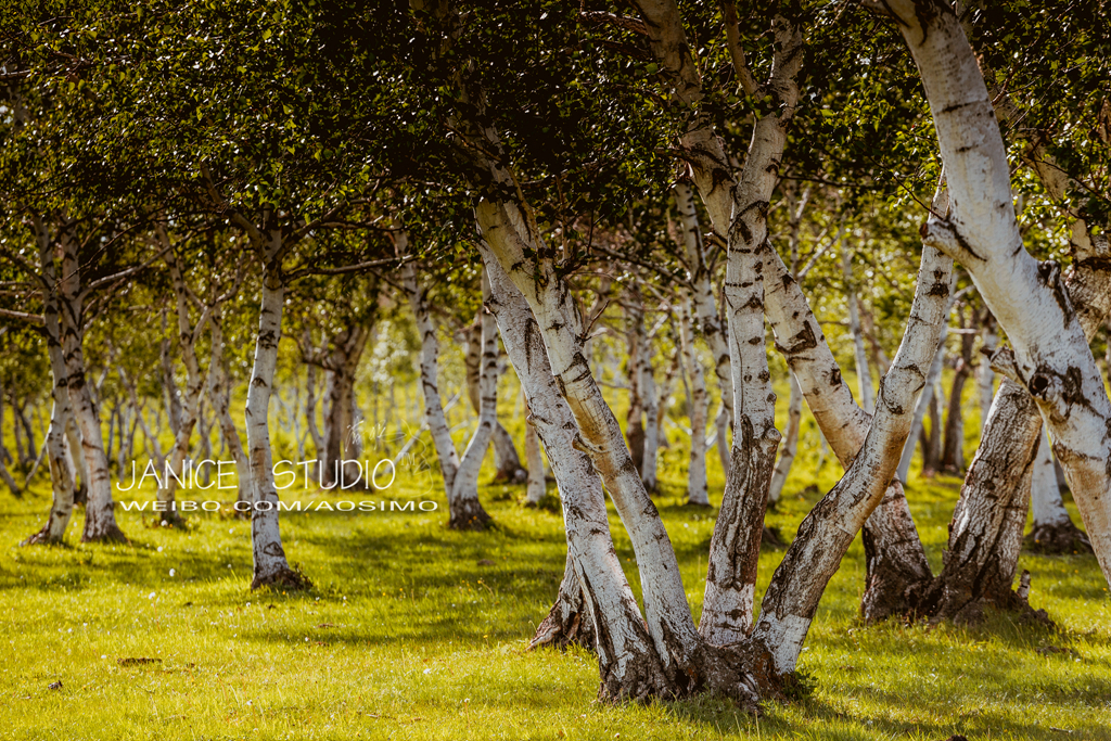 锡林郭勒草原旅游自驾攻略,锡林郭勒大草原自驾旅游攻略