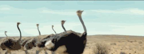 盗梦空间导演的全部电视剧,盗梦空间导演其他作品