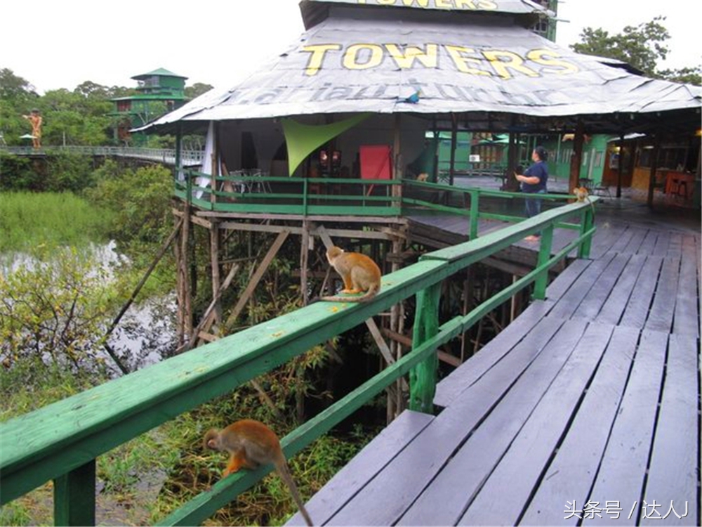 从亚马逊雨林到安纳托,最靠近亚马逊丛林的城市