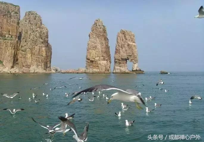 甘南年宝玉则景区,甘肃宝玉则旅游攻略