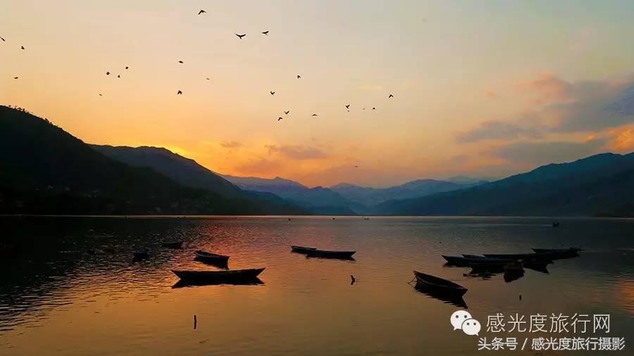 尼泊尔国歌唯一百花盛开的国度,尼泊尔百花图片