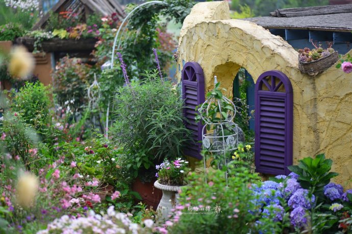 成都玛莉亚色彩花园,成都玛莉亚色彩花园电话